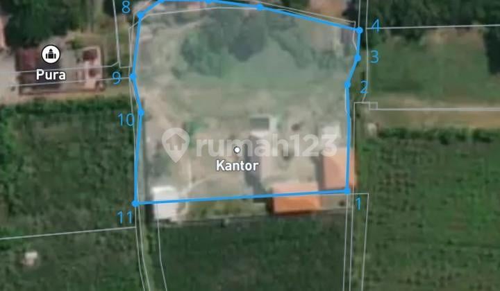 Pasti Deal Di Jual Tanah Loss Pantai Bonus Bangunan Lokasi Seririt Buleleng Bali