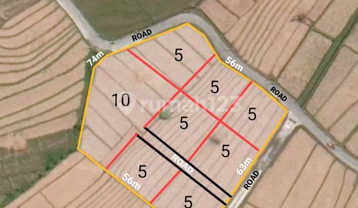 Pasti Deal di Sewakan Tanah Lokasi Nyanyi Tabanan Bali