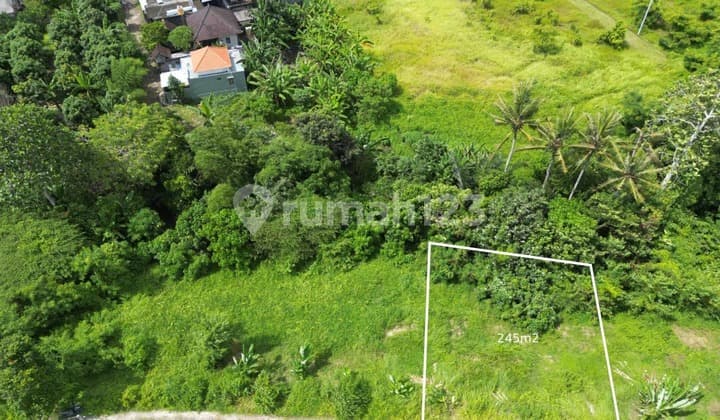 Pasti Deal di Jual Tanah Kavling Dekat Pantai Lokasi Kedungu Tanah Lot yang Bali