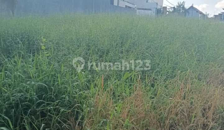 Sure Deal For Rent Land Location Batu Mejan Canggu North Kuta Badung Bali