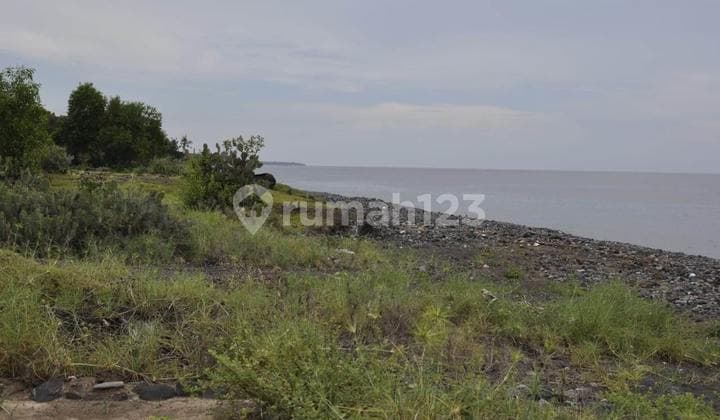 Pasti Deal Di Jual Tanah Loss Pantai View Gunung Dan Laut Lokasi Kubu Karangasem Bali