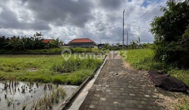 Deal for Sure! Land for Sale Located in Peliatan, Ubud, Gianyar, Bali.