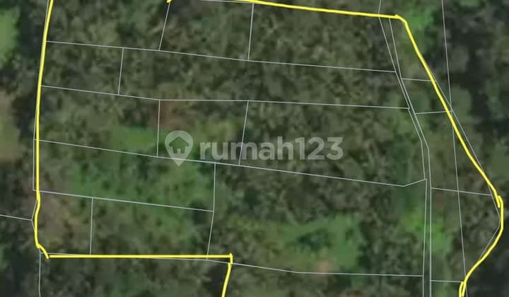 Pasti Deal Di Jual Tanah View Hutan Loss Sungai Lokasi Pejeng Ubud Gianyar Bali