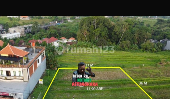 Pasti Deal Di Jual Tanah Pinggir Jalan Lokasi Nyanyi Kediri Tabanan Bali