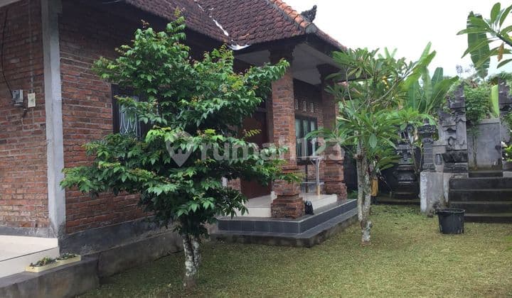 Pasti Deal Di Jual Rumah Lokasi Tabanan Kota Tabanan Bali