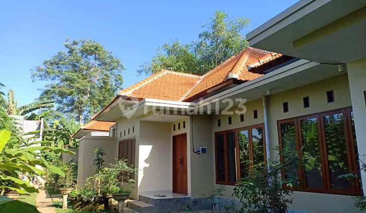 Pasti Deal Di Jual Guesthouse Lokasi Kemenuh Ubud Gianyar