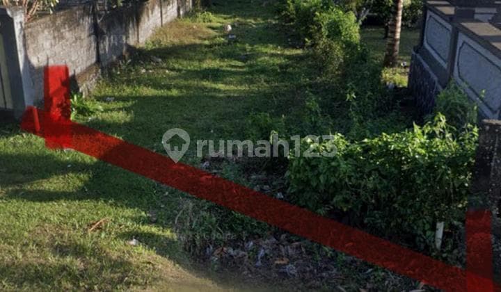 Guaranteed Deal, Land for Sale, Beachfront Location in Pekutatan, Jembrana, Bali