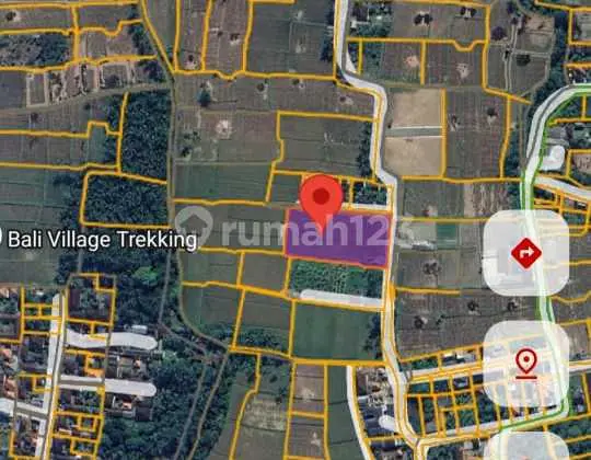 Deal on Sale of Land on Jalan Sutami, Kemenuh, Ubud, Gianyar