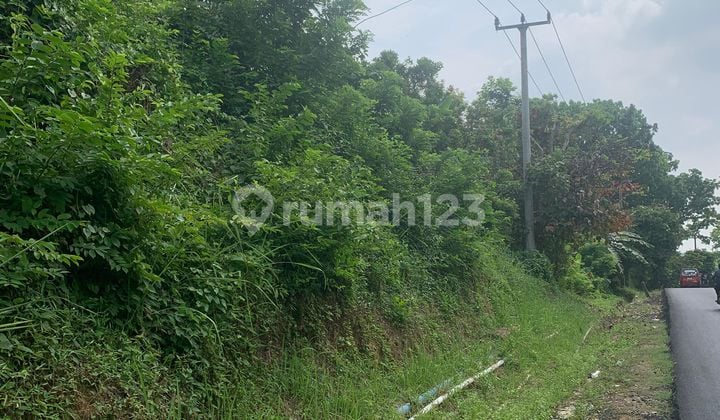 Tanah Di Jalan Raya Waduk Jatiluhur Purwakarta
