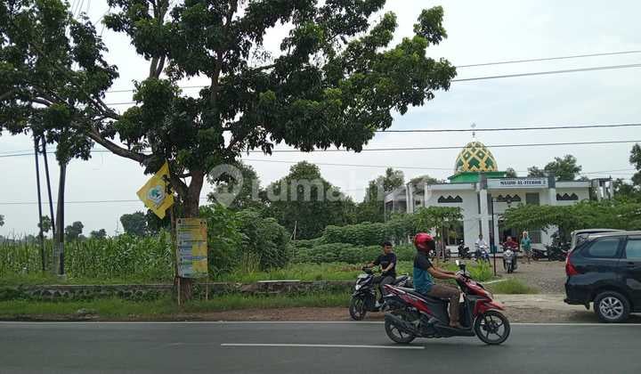 Tanah Komersial Di Pinggir Jalan Raya Pegaden - Kabupaten Subang