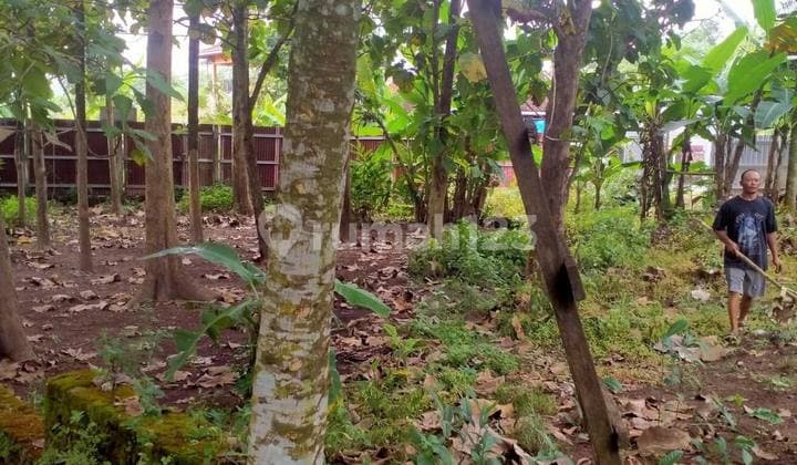 Tanah Pekarangan di Pinggir Jalan Sekarsuli Berbah