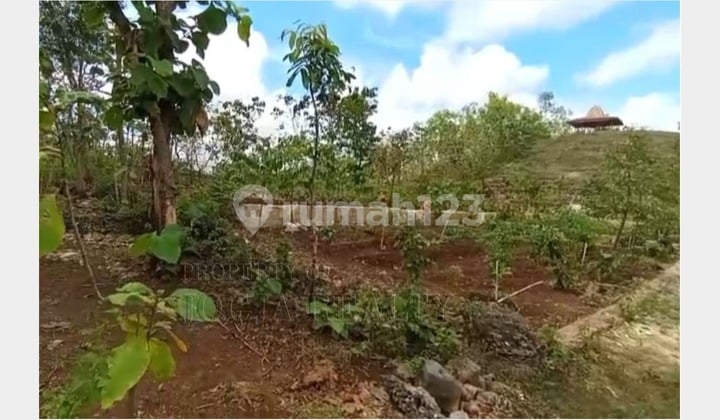 SHM Land Beautiful View Wonosari City Near Uny Wonosari Campus