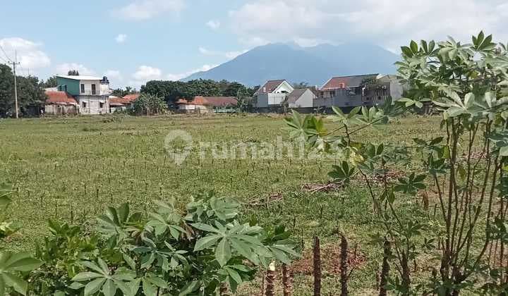 Tanah Potensial untuk Invwstasi dan Pengembagan - Sukaraja Bogor