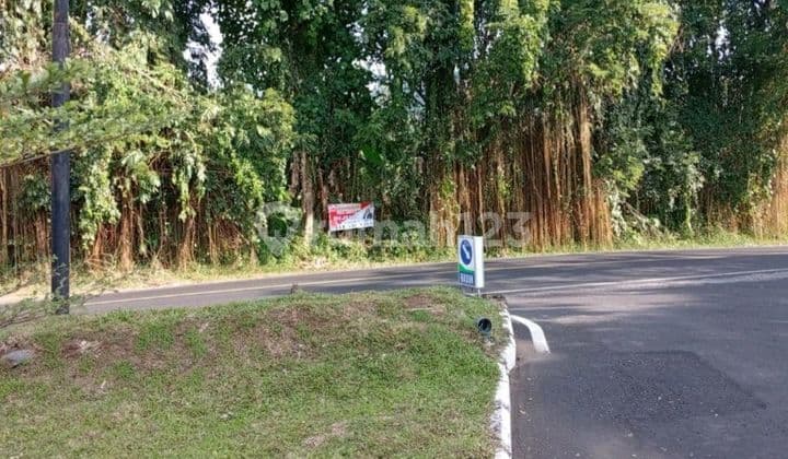 Di Jual Tanah Jalan Utama Trans Sulawesi