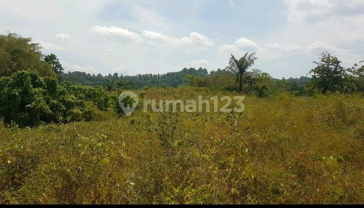 Land overlooking the sea Suitable for Tourism