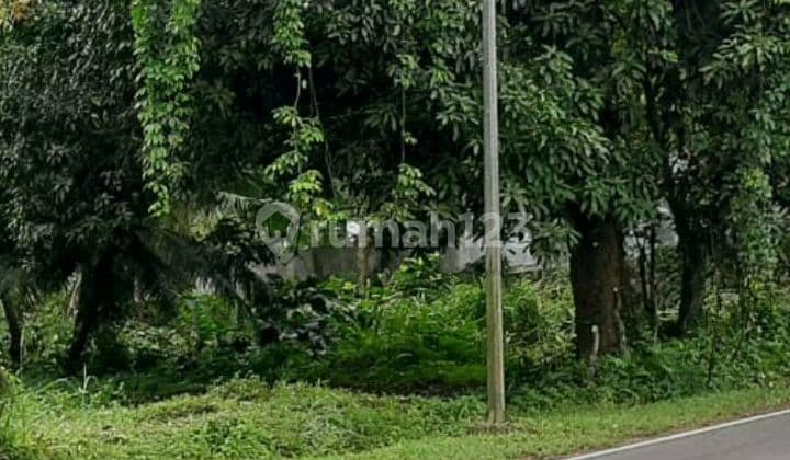 7 Hectares of Strategic Land on Jl. Manado Bitung