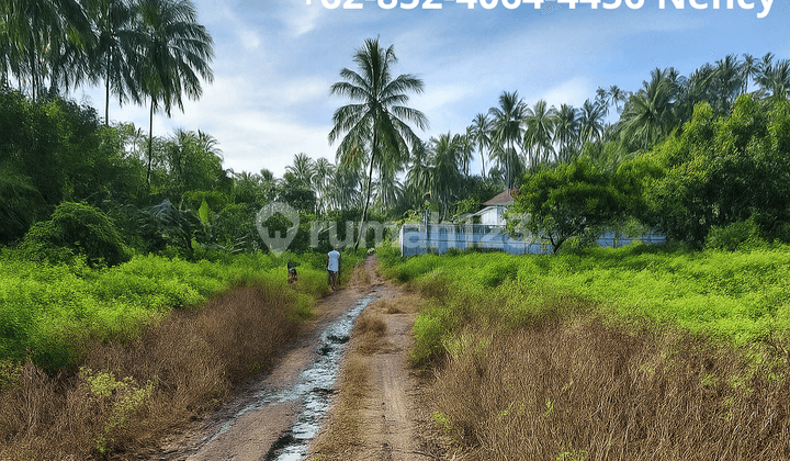 Tanah Murah SHM di Kairagi Manado cocok investasi