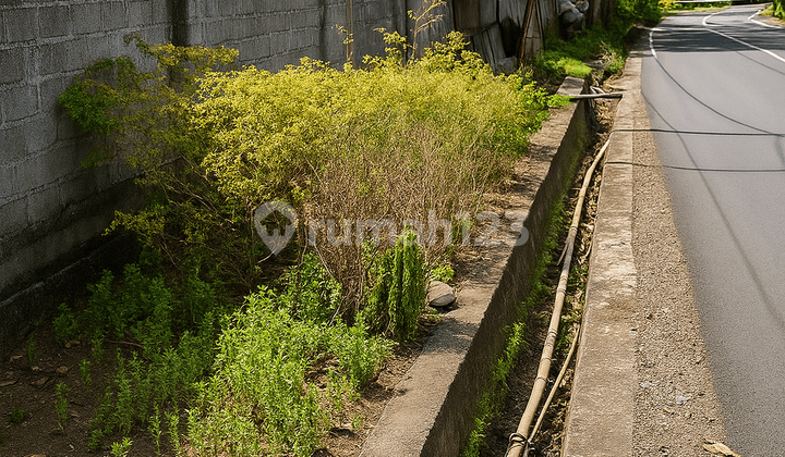 Tanah Plus Sarang Walet di Kalasey Akses Mudah & Lokasi Strategis