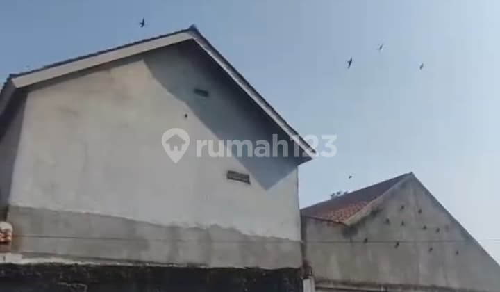 Dijual Tanah dan 4 Rumah Walet Produktif di Kragilan Serang Banten
