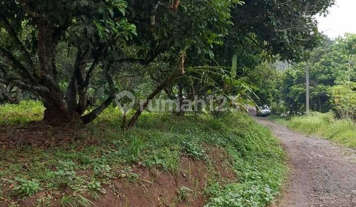 Dijual (bisa Sewa) Tanah Bagus Murah Ro.500jt. 1 Km Dari Perum. Citra Maja Raya (grup Ciputra) Dan 2 Km Dari Perumnas Program 3 Juta Rumah. Ds. Cipining, Curugbitung, Lebak, Banten,