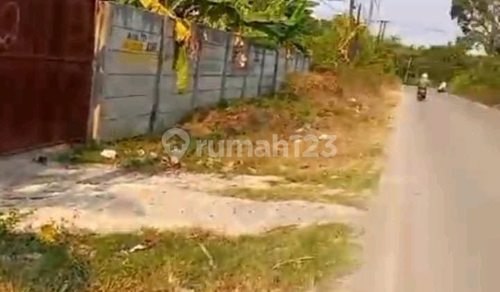 For Quick Sale: 1.6 Ha Land in Cisauk Serpong at an Affordable Price