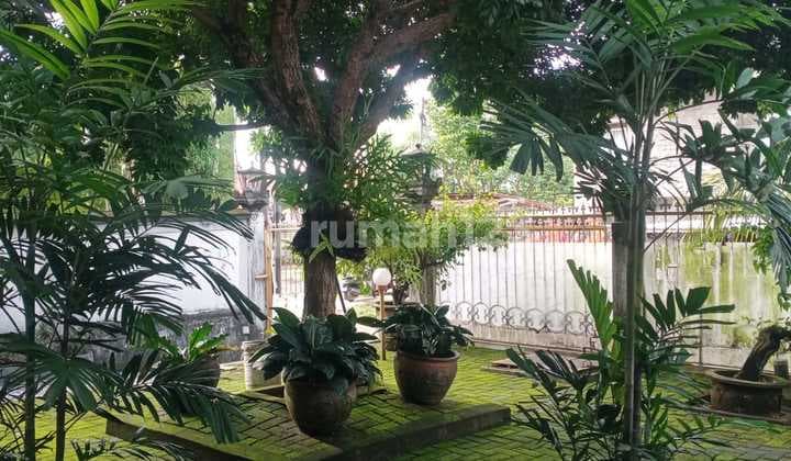 Rumah Mewah Siap Huni Furnished Akses Jalan Bagus dan Startegis di Jimbaran