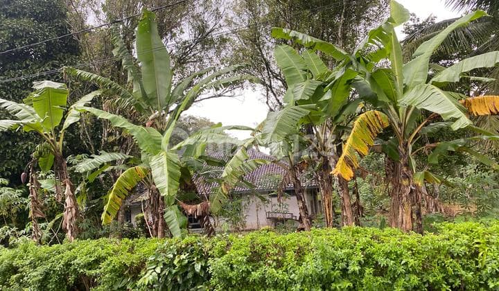 For Sale Rumah dan Tanah Sangat Luas View Gunung Ijen Udara yang Bagus