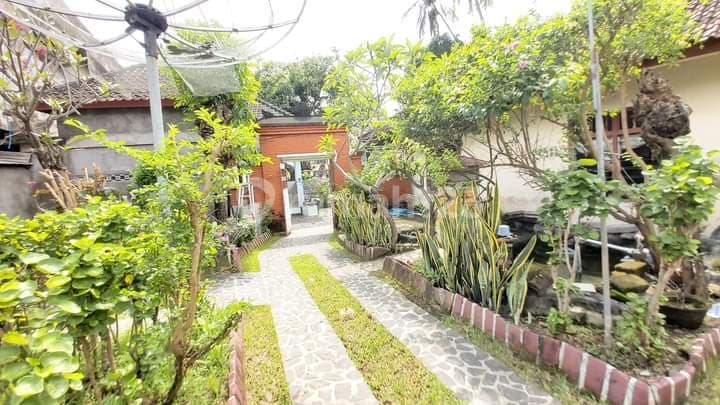 FOR SALE PENGINAPAN/HOTEL DI JLN UTAMA SINGARAJA DEKAT LOVINA DOLPHIN