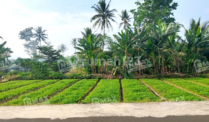 Tanah Dijual di Pucangsongo Pakis Malang