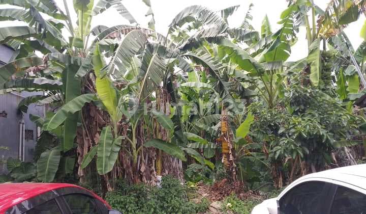 7 Menit Universitas Indonesia Kavling Prospektif Bonus Kulkas