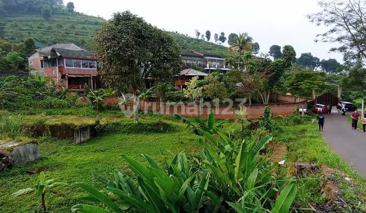 6 Minutes to Cijeruk Highway Potential Lot at Low Price with Free SHM