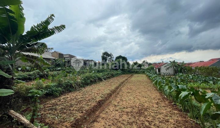 Kavling Tanah Strategis 10 Menit Stasiun Cilebut Free SHM
