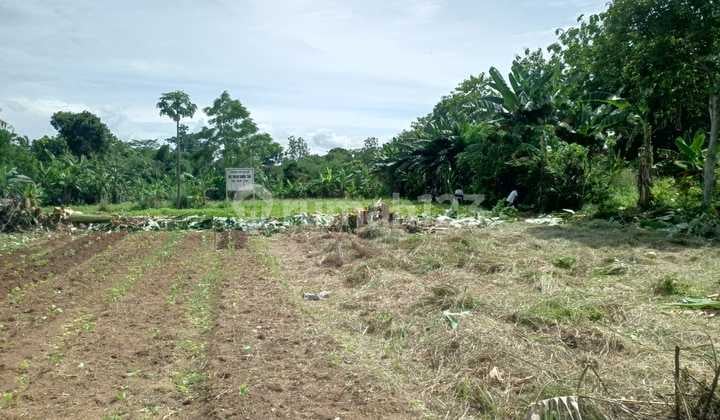 15 Menit Gerbang Tol Pamulang Kavling Strategis Free SHM