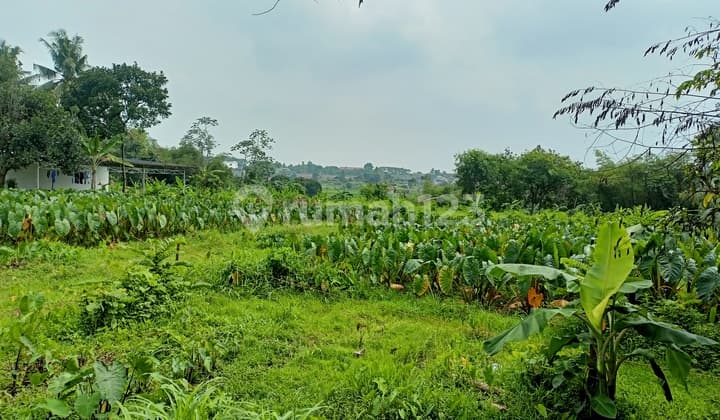 10 Menit Ipb Dramaga Kavling Strategis Free SHM