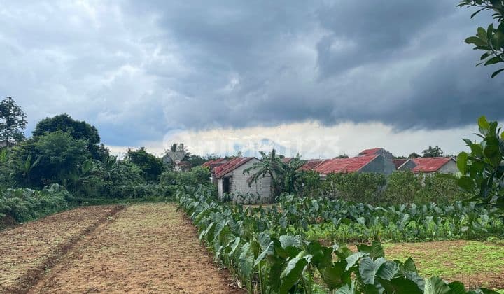 Kavling Strategis 10 Menit Stasiun Cilebut Bonus AC