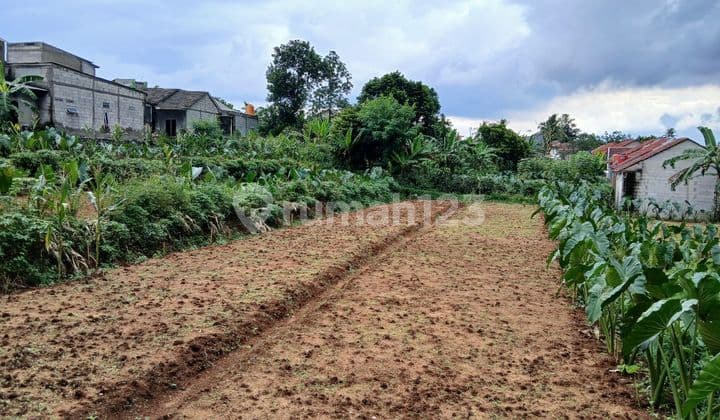 Tanah Kavling Strategis 10 Menit Stasiun Cilebut Free SHM