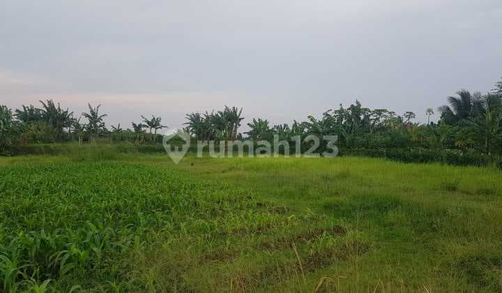 Strategic Plot 10 Minutes from Cigombong Station Bonus 10 Grams of Gold.