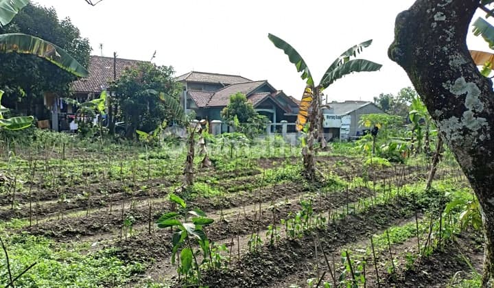 Free SHM Kavling 5 Menit Terminal Bubulak Bonus Kulkas