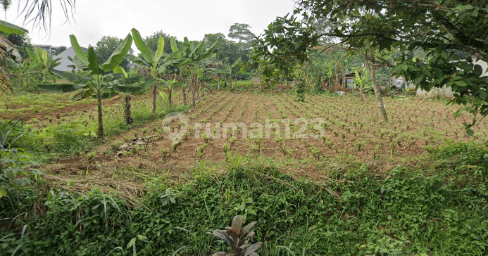 Tanah Kavling Free SHM 8 Menit Situ Tonjong Lokasi Prospektif Harga Termurah