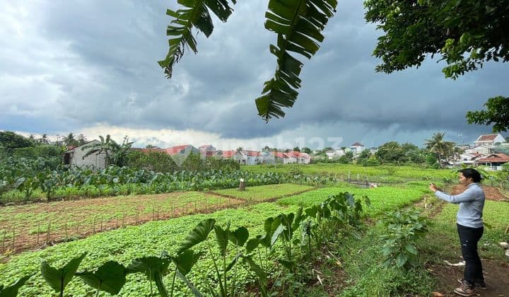 Lahan Kavling Strategis 10 Menit Stasiun Cilebut Free SHM