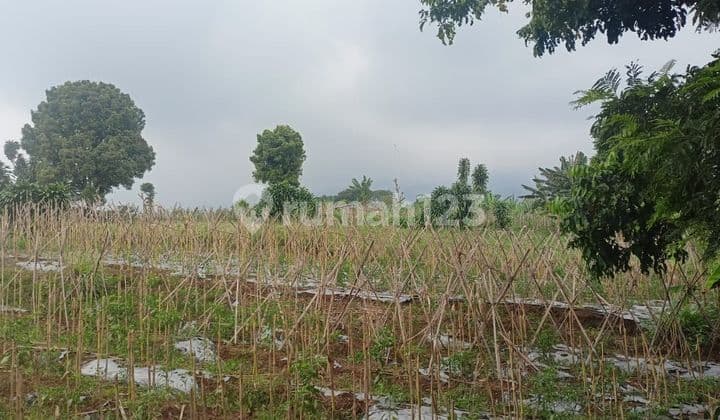 SHM Plot Tamansari Tourism Area Free SHM