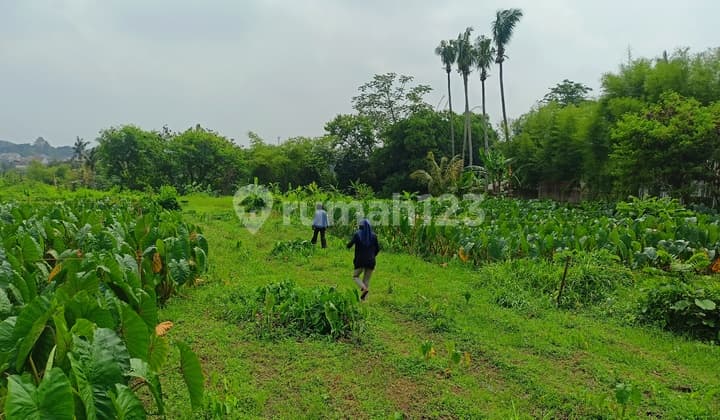 Kavling Tanah 10 Menit Ipb Dramaga Free SHM