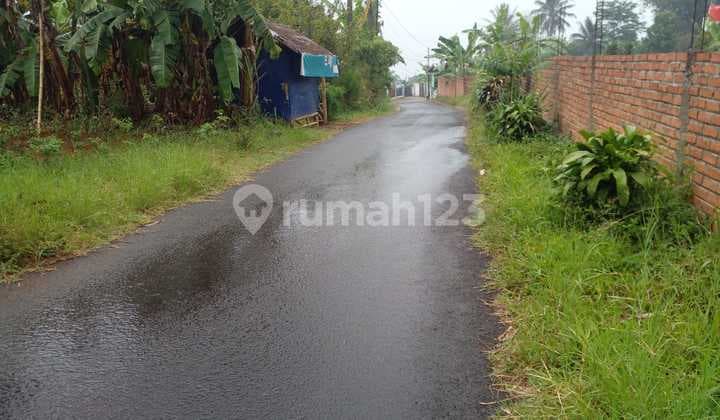 Tanah Premium 5,2 KM Pintu Tol Caringin / Bocimi Imlek Bonus Angpao Emas