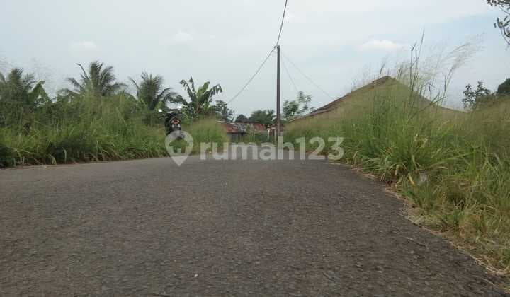 Bonus Angpao 25 Jt Kavling Terbaik 2,6 KM ke Smpn 2 Cigombong SHM