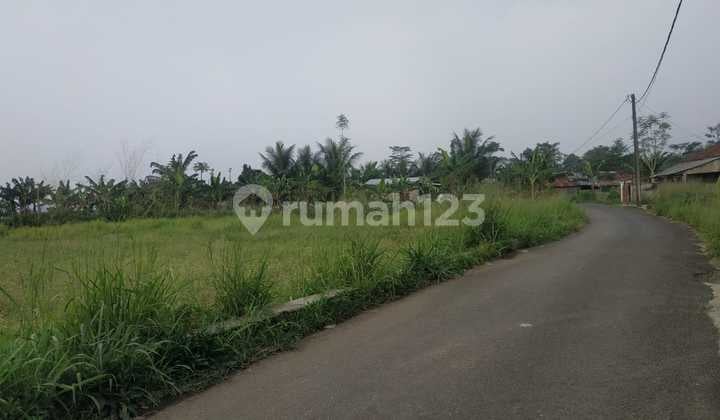 Investasi Tanah Cashback 20 Jt 4,2 Km ke Gerbang Tol Cigombong