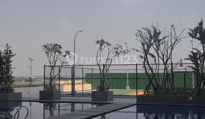 CHEAP AND MERRY APARTMENT VITTORIO FOR RENT