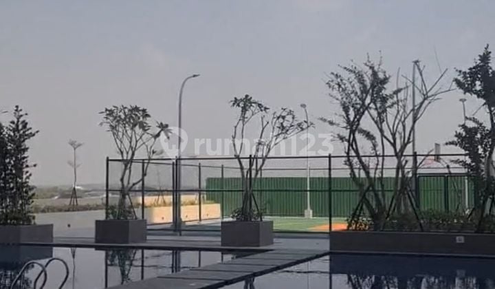 Disewakan Murah Meriah Apartemen Vittorio