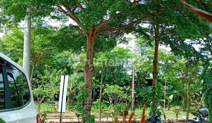 Rumah Subsidi 500 Ribu All In Sampe Serah Terima Kunci