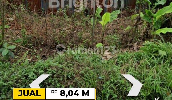 Teritip Pinggir Aspal Shm