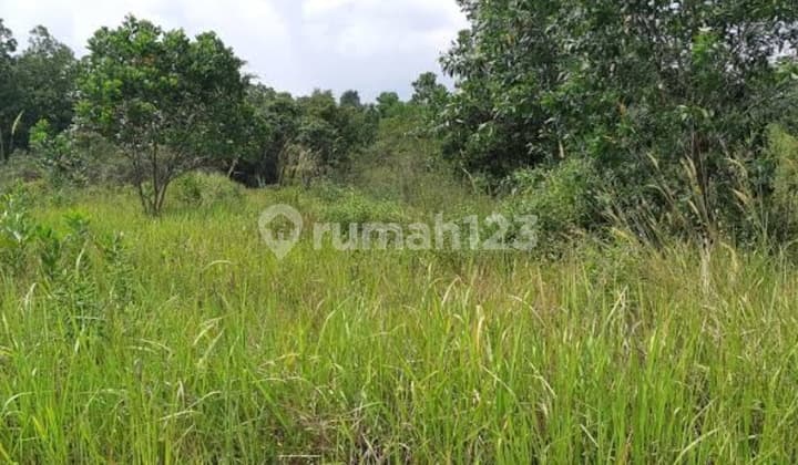 Lahan Kosong di Panglima Denai Medan
